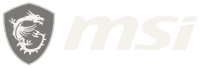 MSI
